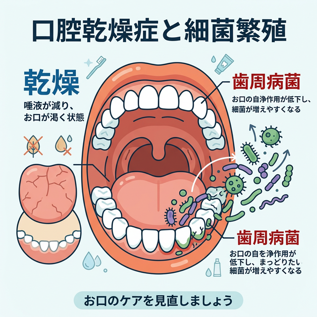 口内の乾燥と歯周病菌の増殖